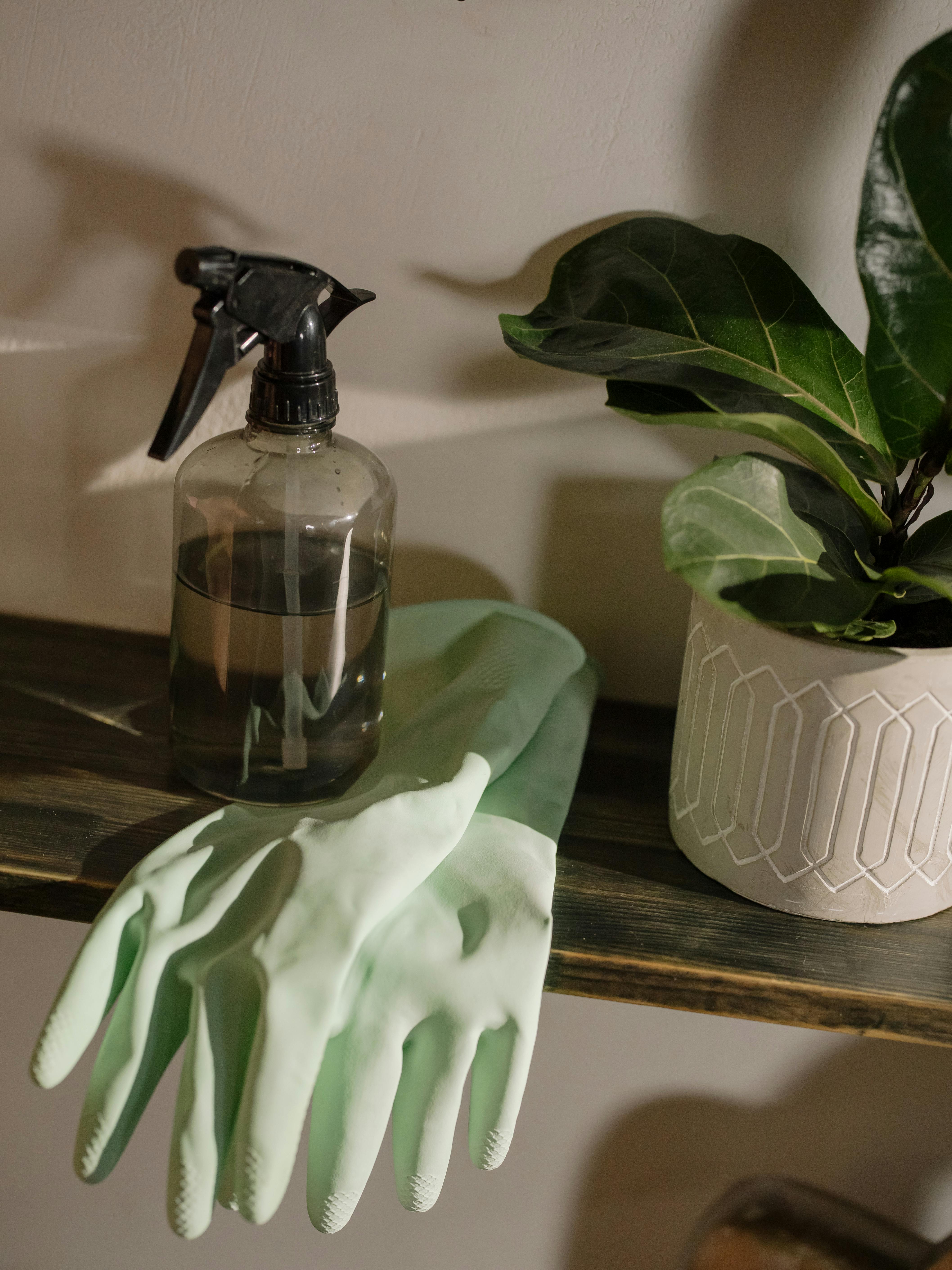 Daily cleaning routine checklist and supplies